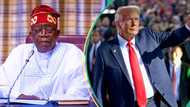 What Nigeria will benefit from US president-elect, Trump’s govt, political analyst explains