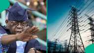 Breaking: Tinubu's govt announces when electricity subsidies will be phased out