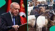 Turkey declares public holiday for Eid Al Adha, extends days