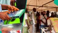 FCT council elections: List of polling unit results released so far as voting ends, counting begins