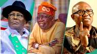 Atiku vs Peter Obi: Top analyst predicts who will secure ADC’s presidential ticket ahead of 2027