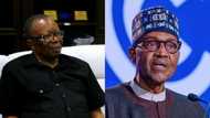 Bad news for students as ASUU awaits Buhari’s decision on 1 crucial negotiation