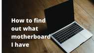 How to find out what motherboard I have: Three fascinating methods