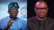 Zaben 2023: An Bayyana Peter Obi a Matsayin Wanda Ya Lashe Zabe a Jihar Rivers Ba Tinubu Ba