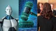 Man takes world's first robot lawyer to court for practising law without degree