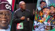 2027 presidency: Labour Party accuses NLC of working with Tinubu’s govt to kill opposition
