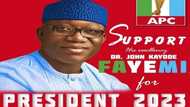 Shugaba kasa 2023: Fastocin yakin zaben Fayemi sun karade yanar gizo