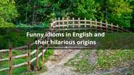 45 funny idioms in English and their hilarious origins