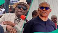 Breaking: Wike breaks silence over Peter Obi's sudden defection to NDC