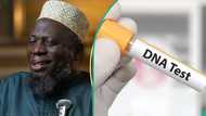 Popular Islamic cleric issues warning, shares why Muslims must deprioritise DNA test, expert reacts