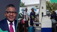 CEO lists reasons for hike in petrol prices despite supplies from Dangote refinery