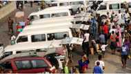 Yuletide: Concerned groups raise alarm over high cost of transport to southeast, south-south, urge FG to intervene