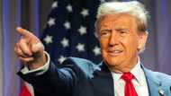 Mexico president hails 'excellent' Trump talks after US tariff threat