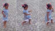 "She dey copy Ayra Starr": Little girl with swag dances to Sability in video, gets attention