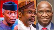 2023: Tinubu, Atiku's Names Missing as Powerful Northern Lawmaker Reveals Buhari's Likely Successors