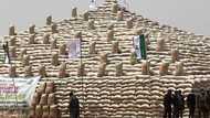 Price of rice to fall as President Buhari unveils Abuja’s pyramids