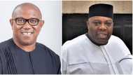 Peter Obi will only mount podium with his peers, not surrogates, Doyin Okupe Slams PDP, APC after presidential debate