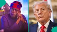 "We don’t need your help": Man writes Trump and US Army amid threat to Tinubu, post trends