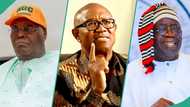 Atiku coalition: “Why a southern candidate cannot defeat Tinubu,” Analyst speaks ahead of 2027