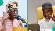 Presidency fires direct shots at El-Rufai as ex-Kaduna governor rains fury on Tinubu