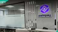 KudiWave: PalmPay releases statement, denies wrongdoing