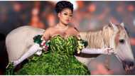 Designer Toyin Lawani makes fans go green with envy in stunning ball gown made of leaves
