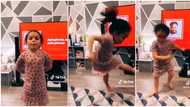"Give her Yoruba name": Little Oyinbo girl goes crazy as Asake's song plays on TV, shocks her mum in video
