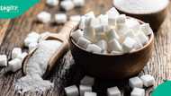 Bacita Sugar exits receivership as KIA Africa secures investor backing
