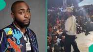 Davido's fiery reaction to fan with a baby at Don Lulu's party in Abia trends: “Are you crazy?”