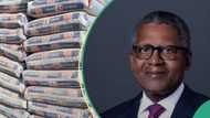 Dangote Cement, MTN shareholders cash out as firms generate N13.94 trillion in revenue