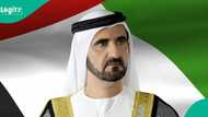 Dubai issues over 73,000 entry visas to foreigners from select countries