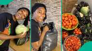 Lady who took N11,000 to market in Kano state displays foodstuffs she purchased: "So cheap"