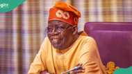 BREAKING: Jubilation as Tinubu approves N50,000 grant, N155bn food package for Nigerian households