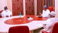 Breaking: Buhari, Nigerian governor meet behind closed doors amid FG's plan to lockdown state