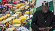 Tinubu celebrates lower transport fares, shares new prices for 3 states