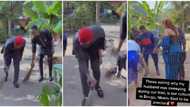 "Will they still pay bride price?" Video emerges as man sweeps in-law's compound, wife says it's their culture