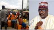 NNPC Promises to End Fuel Scarcity as Lagos, Kano Others Get 450.92 Million Liters of Petrol in One Week