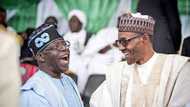 Toh fa: Buhari ya ce yana son Tinubu ya ci gaba da yiwa 'yan kasa abu 1 da yake yi