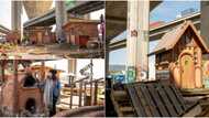 Homeless people display rare creativity by building village under bridge, it has clinic facility
