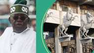 Tinubu's government targets $17bn revenue from sale of TBS, refineries, other national assets, list emerges
