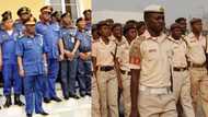 Immigration, Civil Defence job: FG opens portal for online exam (date, other info for candidates)