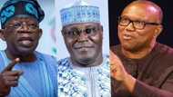 Year in review: Top political promises made by presidential candidates ahead of 2023 elections