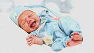 Nurse Gives Woman the Wrong Baby, Then New Mother Turns Pale — Story of the Day