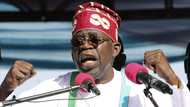 Wasu Muhimman Bukatu Da Kungiyar Dattawan Arewa Ta Mika Zuwa Ga Shugaba Tinubu
