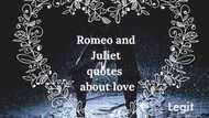 Remarkable Romeo and Juliet quotes about love