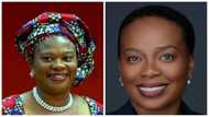 Dora Akunyili's Daughter Makes Nigeria Proud, Breaks Record to Become First Black CMO in Top US Hospital