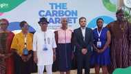 Power of carbon market: Private sector leaders chart path for sustainable development in Africa