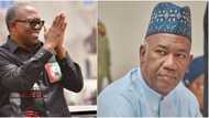 Soyinka’s comment: “Datti and I stand with you”, Peter Obi sends powerful message to obidients amid backlash