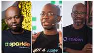 Updated: Meet the Dozie brothers who 'left' Diamond Bank to start different banks