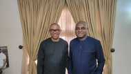 2023: After Mimiko, Peter Obi beefs up strategy, visits another political capone in Abuja for collab